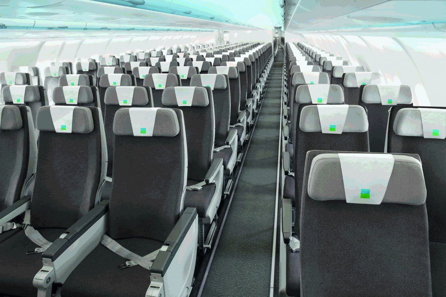 A330 Level low-cost long-haul airline