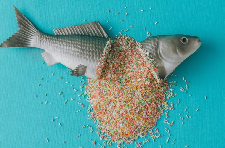 Food trends sugar sculpture