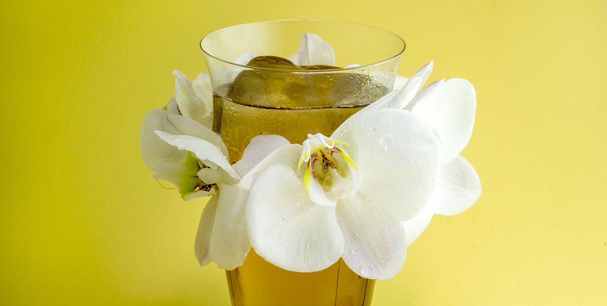 When You Went Travelling, Artesian Bar