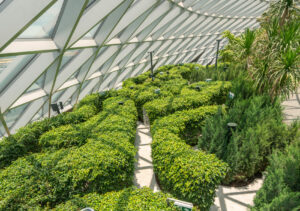 Hedge Maze at Canopy Park, Sigapore Changi Jewel Terminal