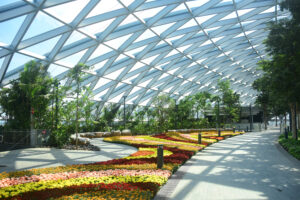 Petal Garden at the Canopy Park, Singapore Changi Jewel Terminal