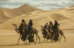 Men riding camels