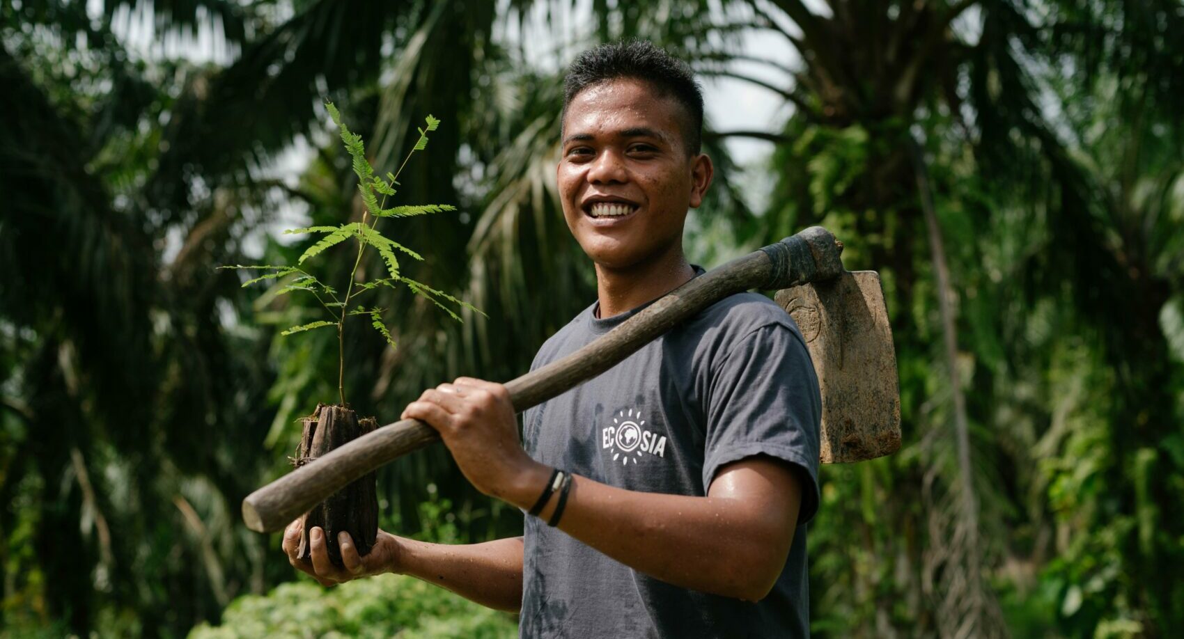 Ecosia planting trees