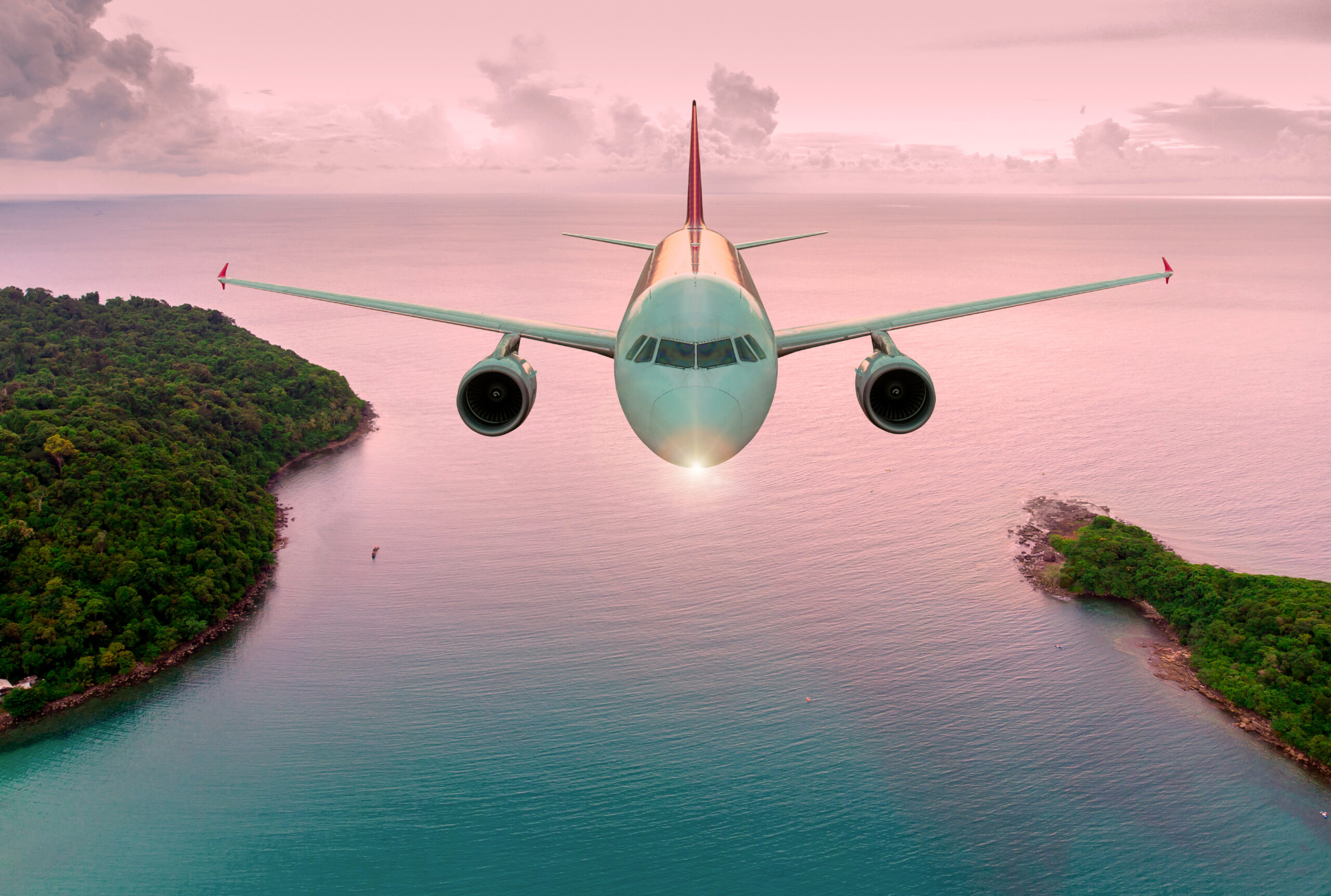 Plane flying over forest and pink sea