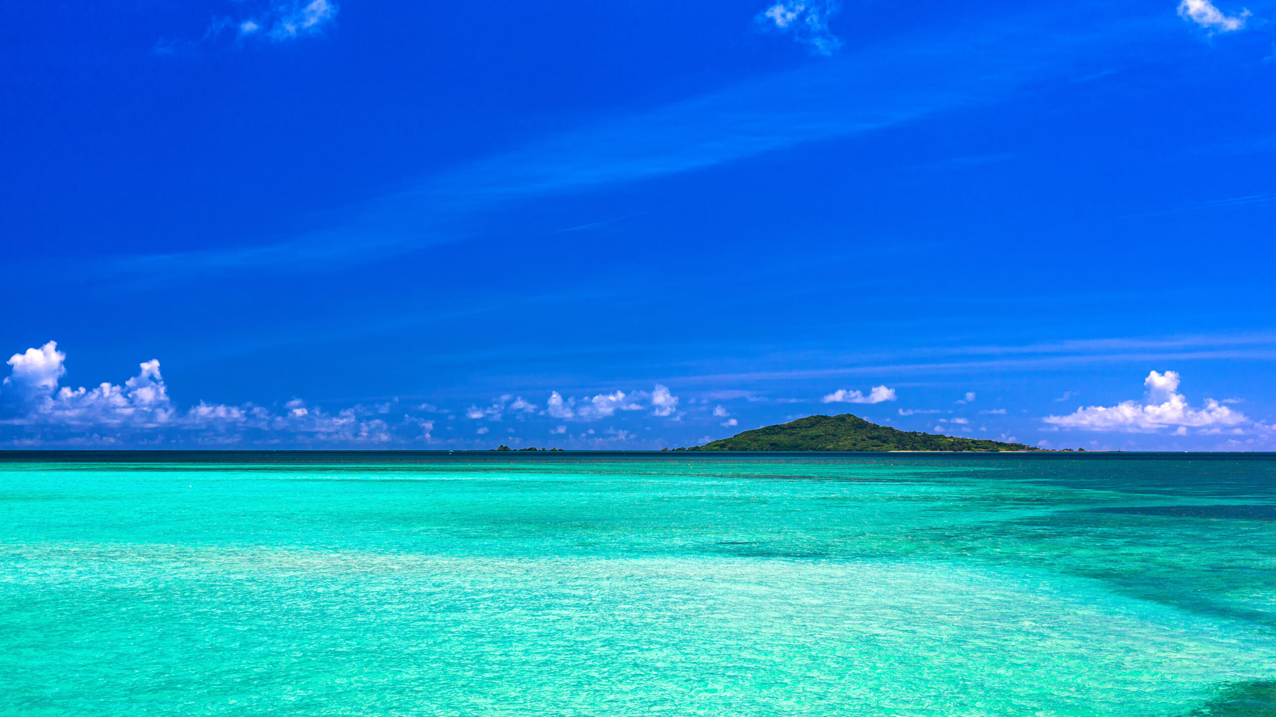 Japanese 'Blue Zone' island of Okinawa offers longevity retreats