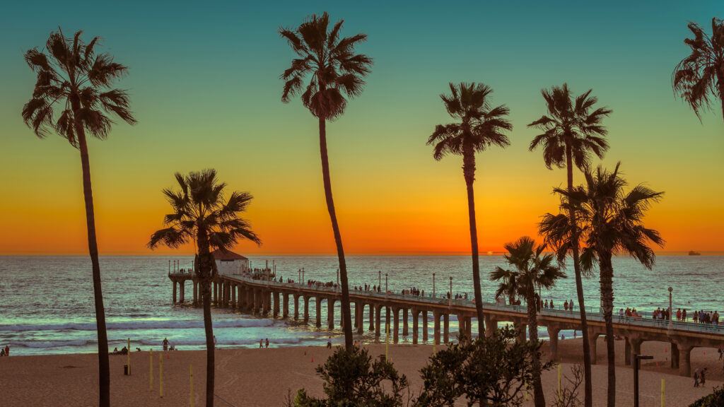Palm trees at Manhattan Beach at sunset