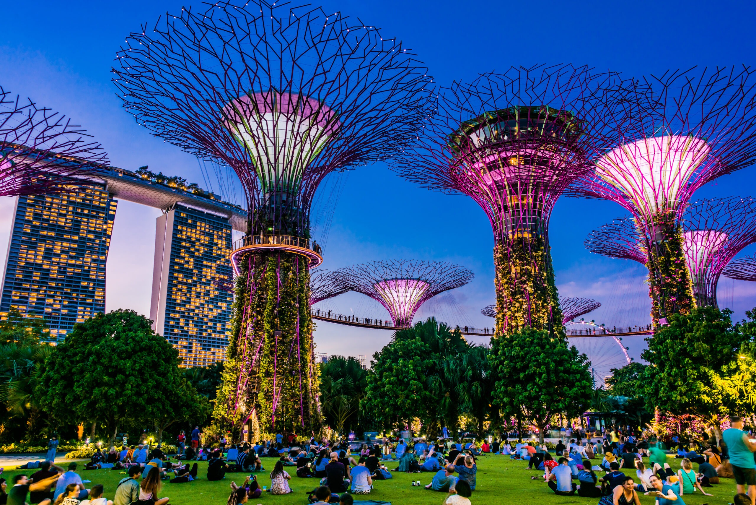 Singapore City Tour With Gardens By The Bay LEFMAT