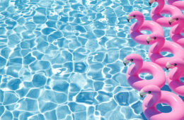 Inflatable swans swimming pool