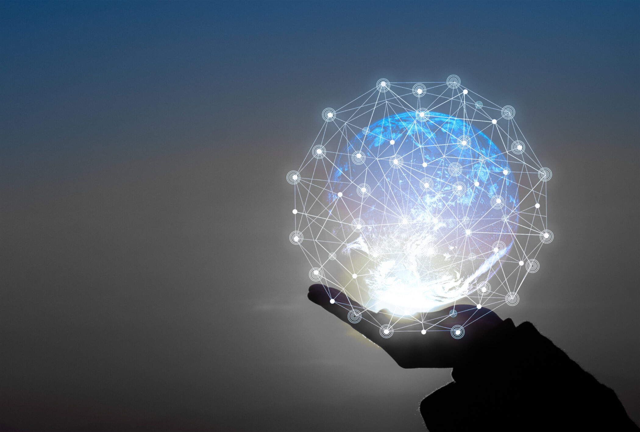 World information network