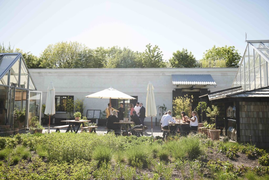 Noma former 'world's best restaurant' reopens as burger and wine bar