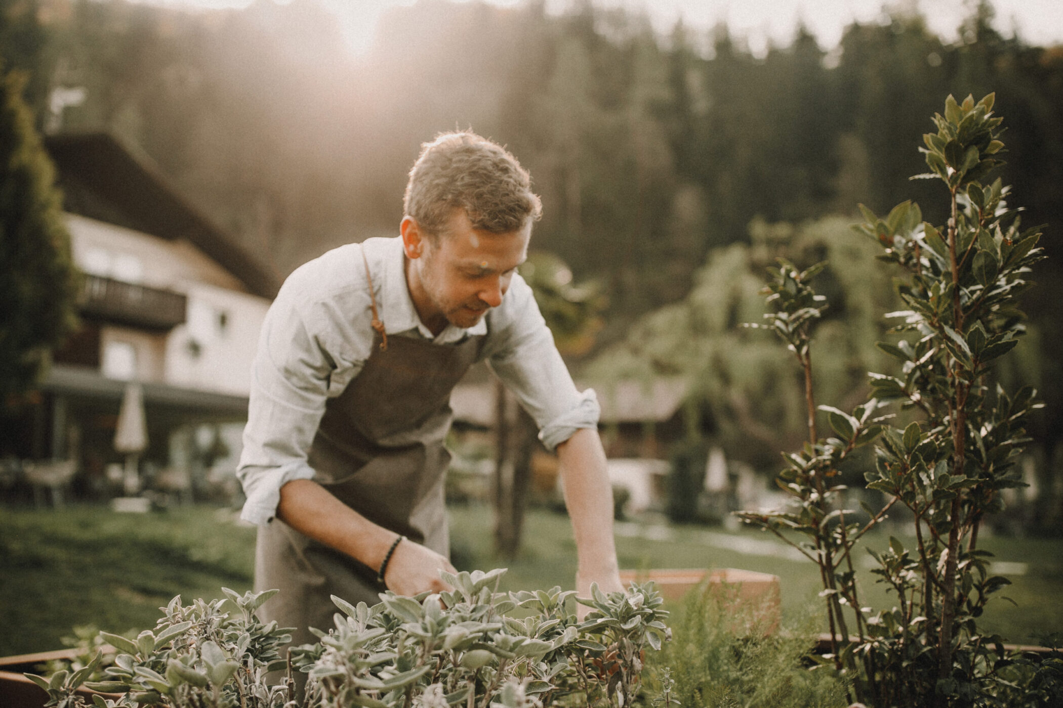 Torgglerhof Apple hotel