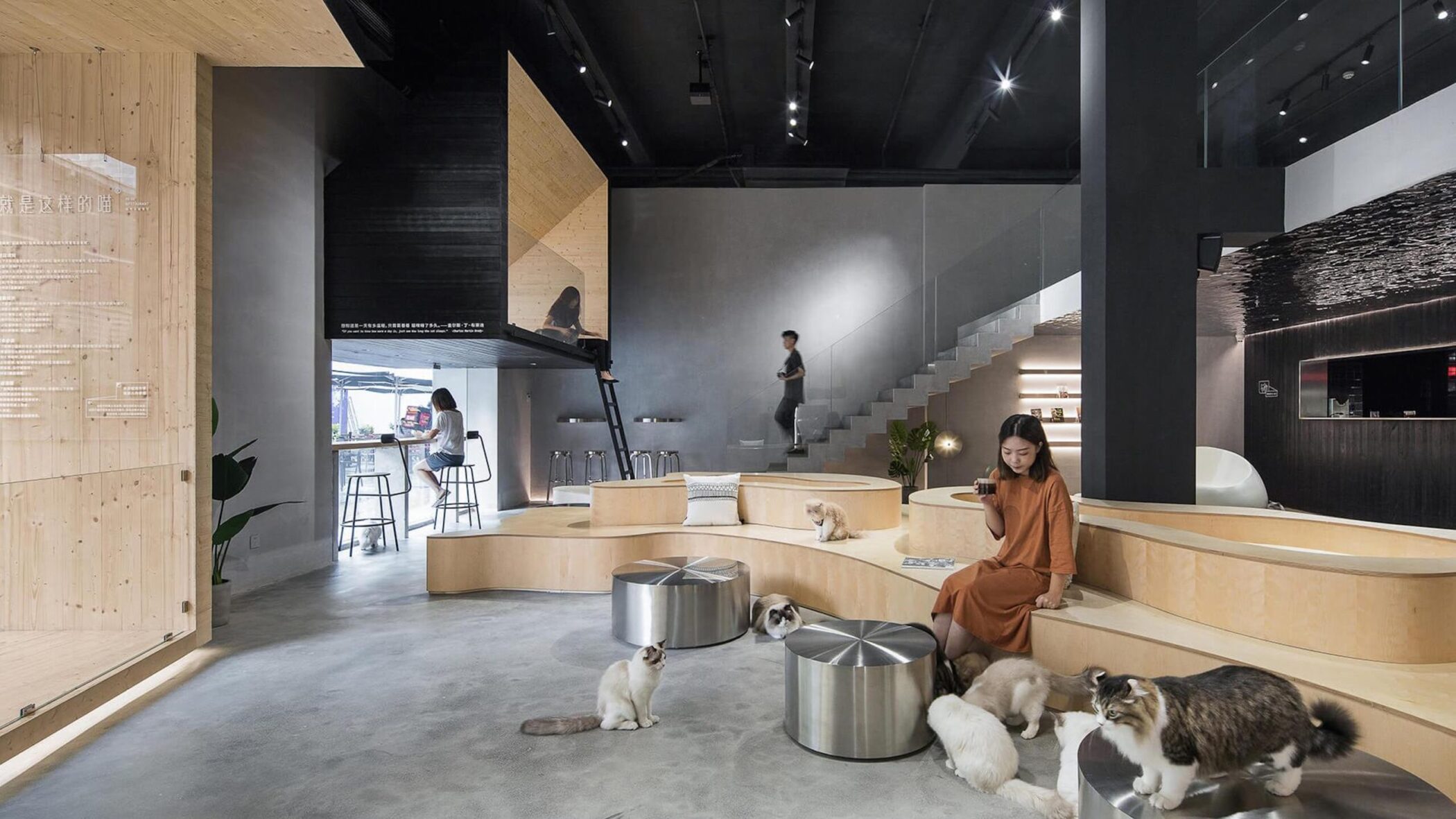 Meow Restaurant E Studio credit Chao Zhang
