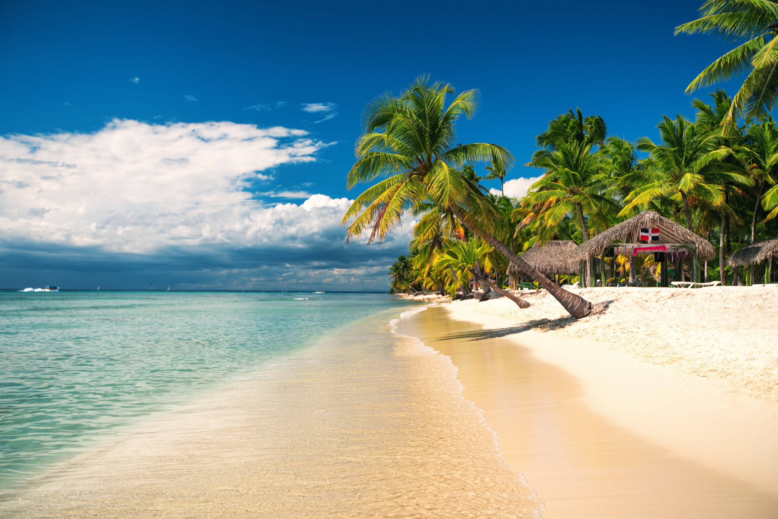 Palm and tropical beach on Saona Island, Dominican republic