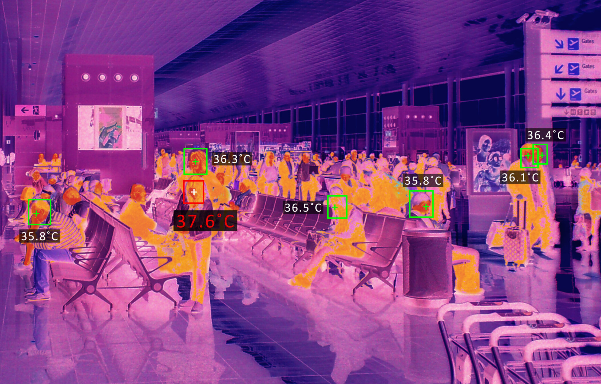 Thermal scanner checking temperature