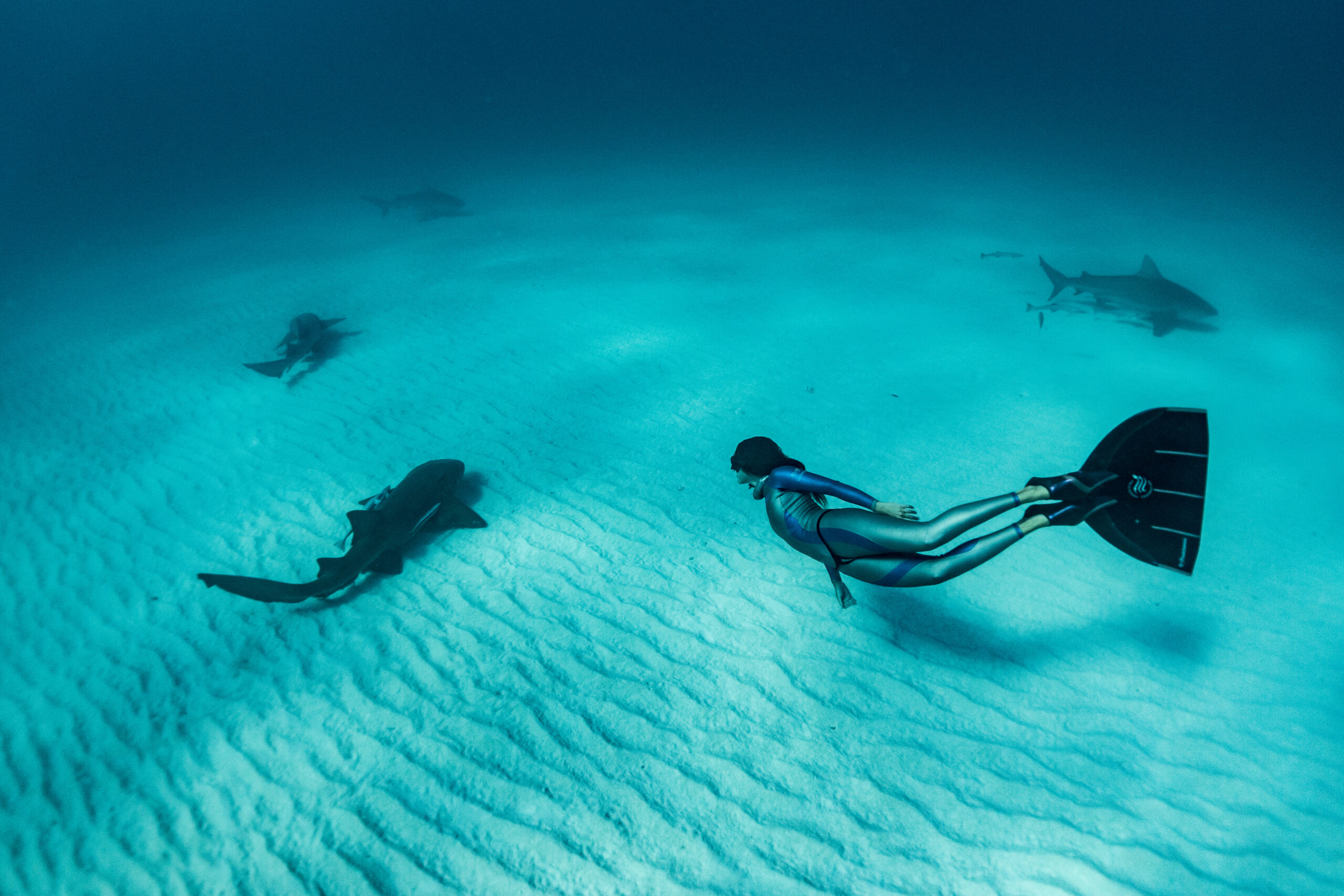 A Cookson client freedives with sharks in the Bahamas