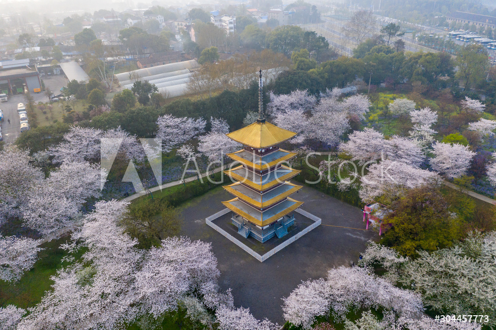 Yellow Crane Tower Wuhan