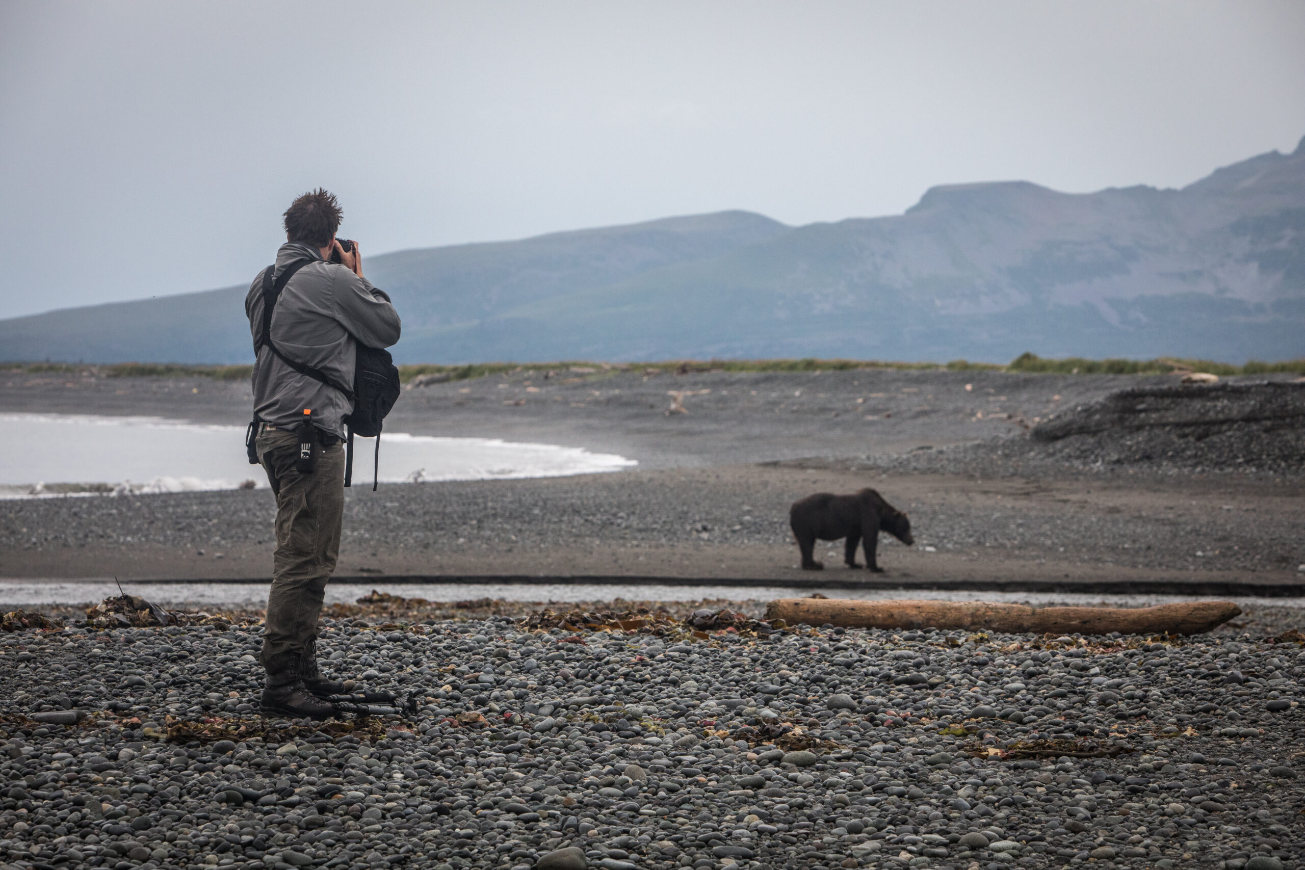 Henry Cookson captures a roaming bear in Alaska
