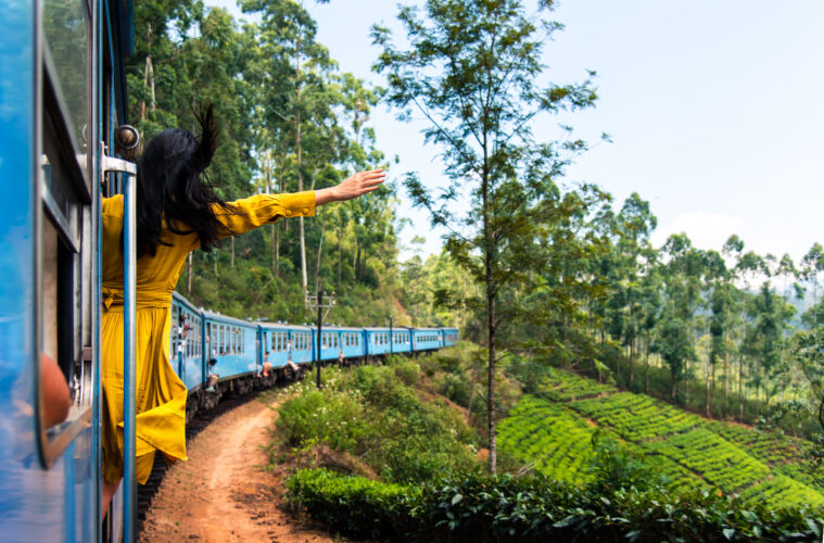 Train ride through Sri Lanka tea plantations