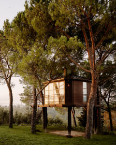 Airbnb Florence