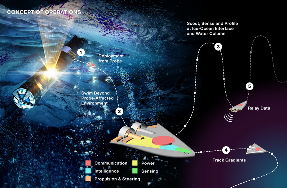 SWIM Sensing with Independent Micro-swimmers concept for NASA, Ethan Schaler