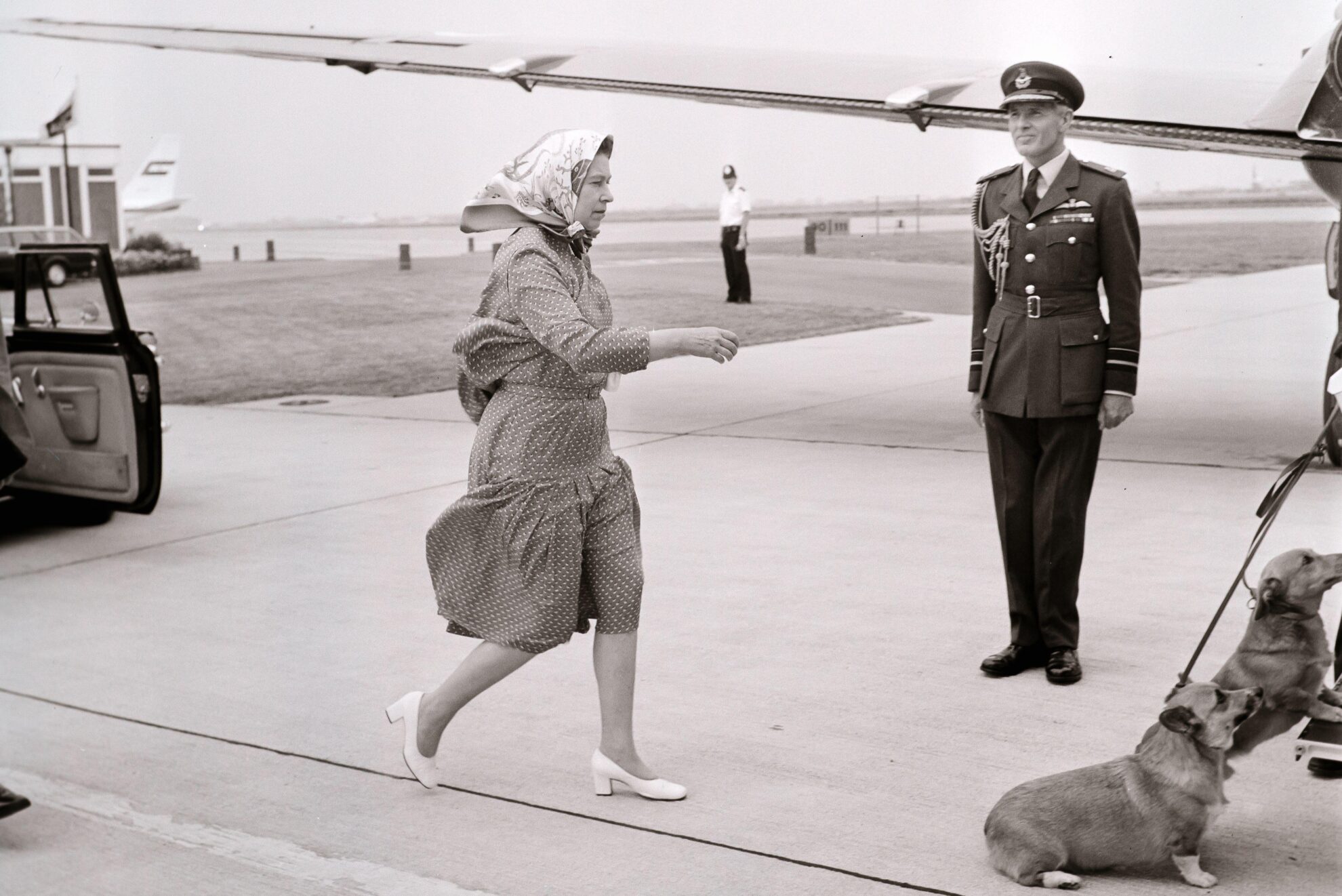Bandara Queen Elizabeth II Heathrow Agustus 1982 dengan Corgis