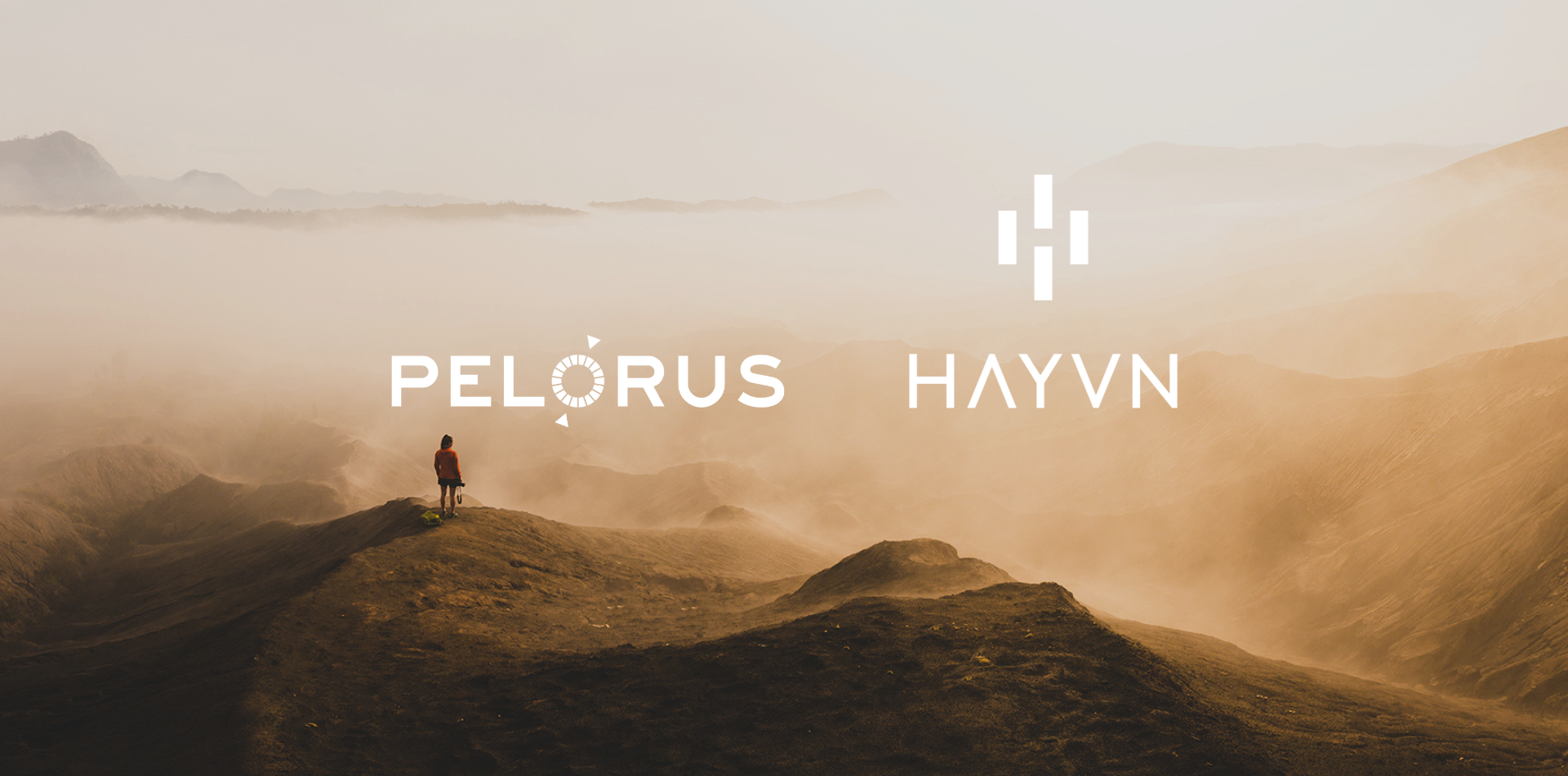 Peluncuran cryptocurrency Pelorus HAYVN