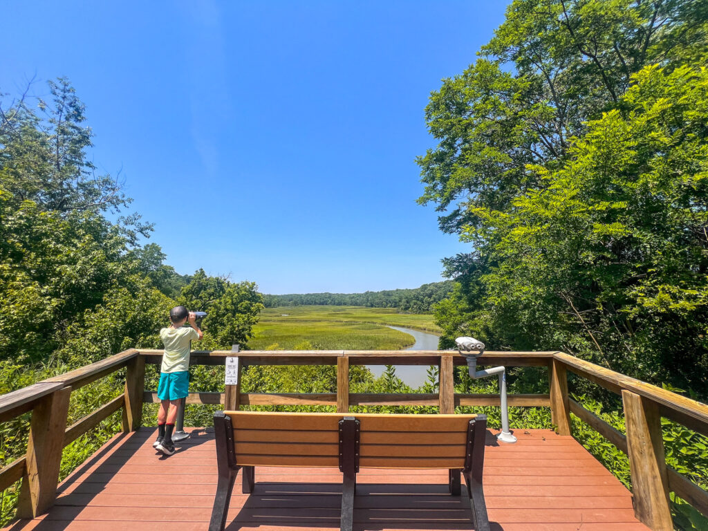 Colourblind x EnChroma x Virginia State Parks