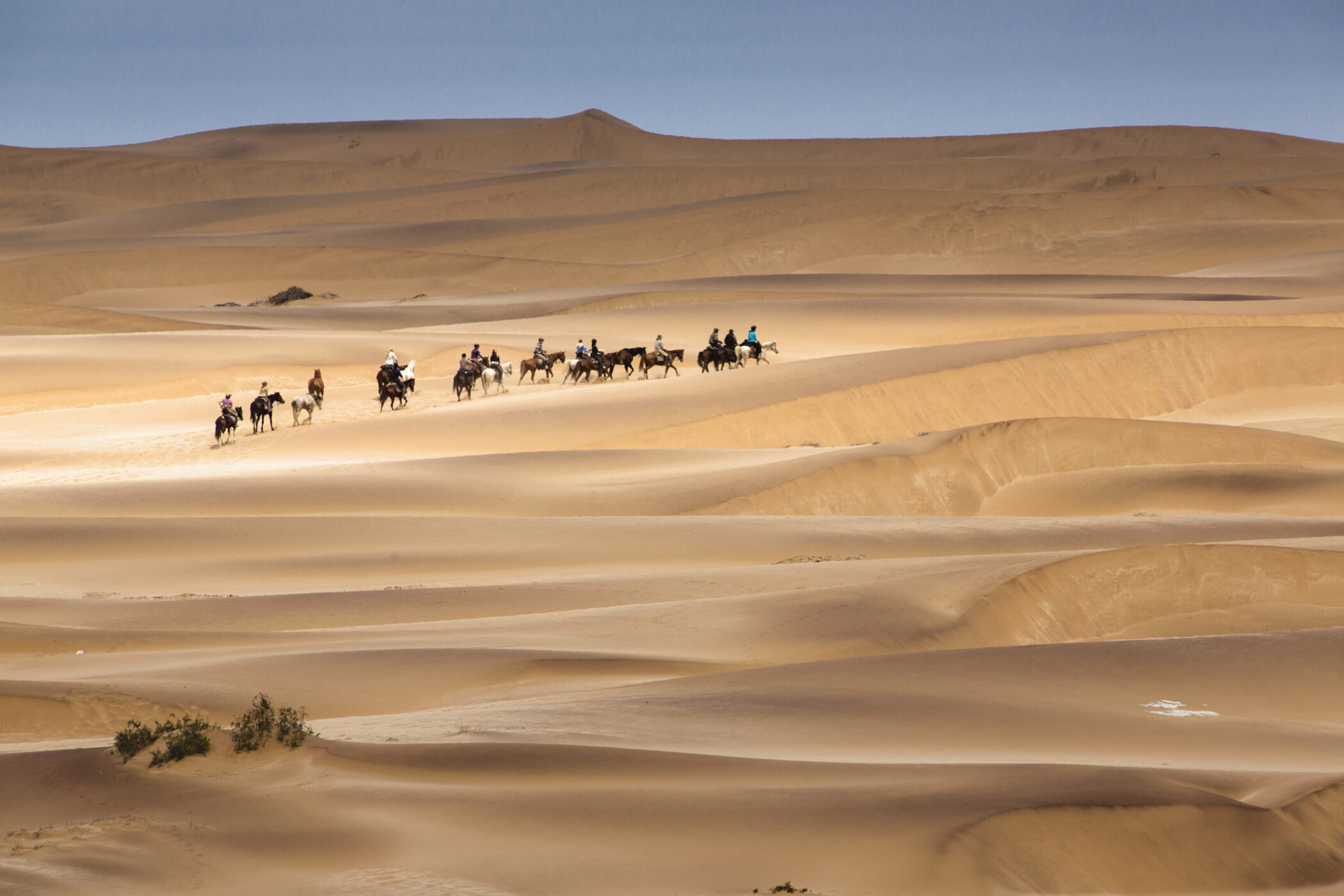 Explorations Company