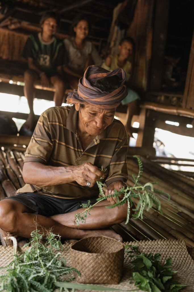 Cap Karoso; shamanic healing journey