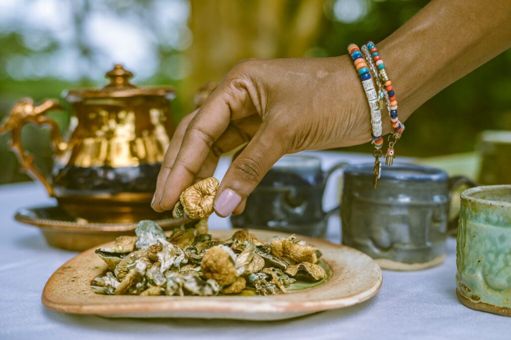 Beckley Retreats magic mushrooms