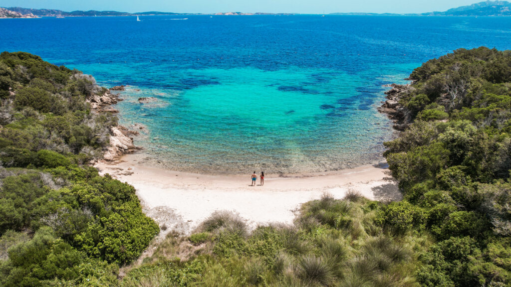 Delphina Capo d'Orso