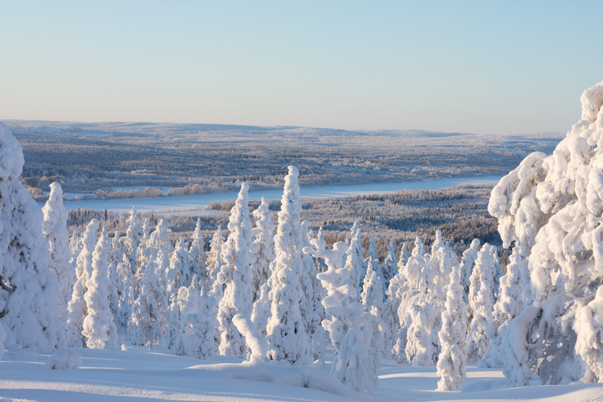Octola Private Wilderness
