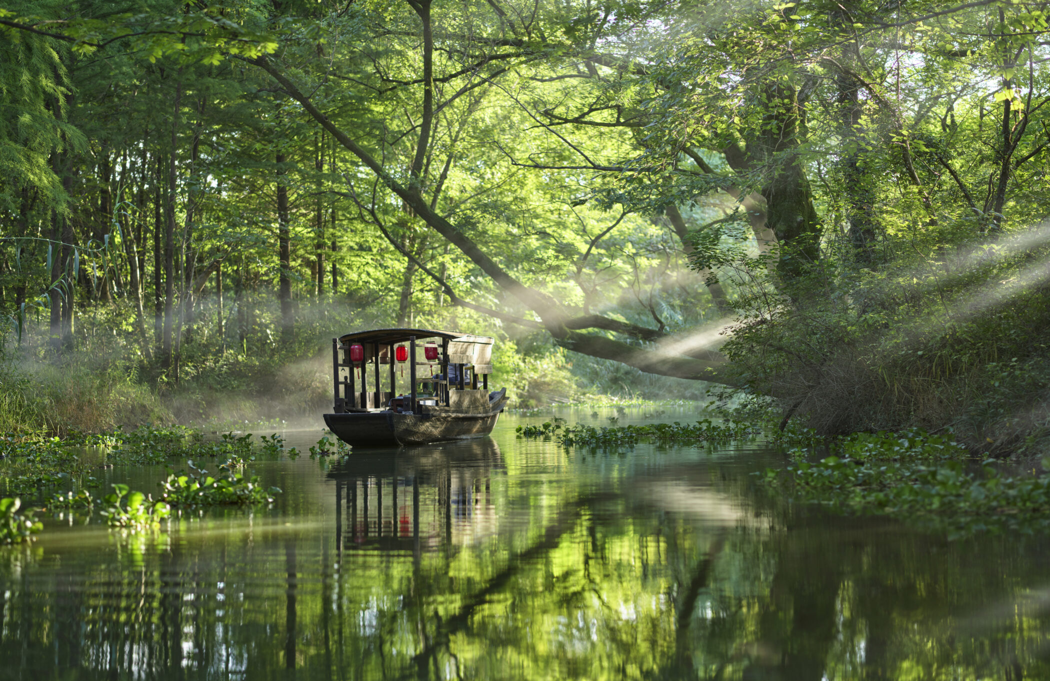 Banyan "100 Journeys"