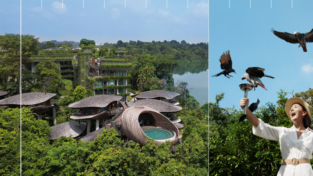 Banyan "100 Journeys"