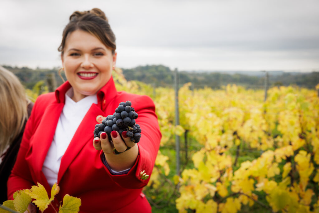 Virgin Atlantic x Hambledon Wine Estate
