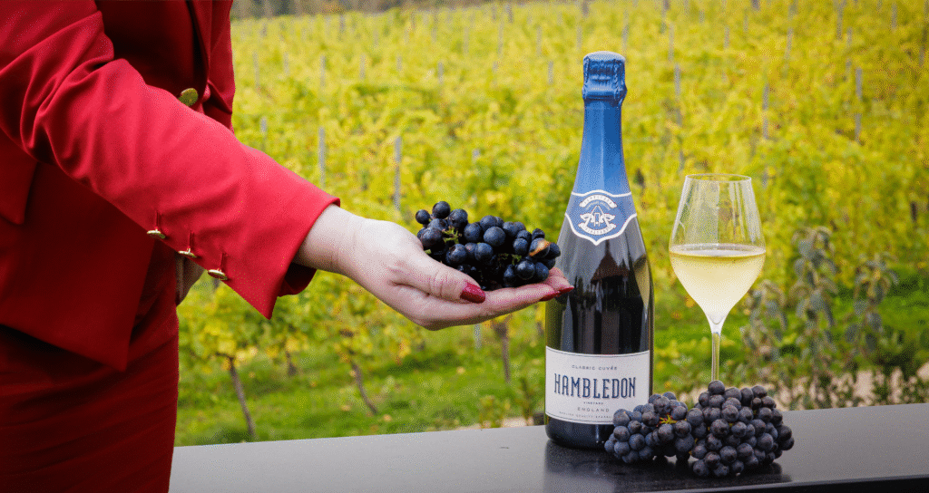 Virgin Atlantic x Hambledon Wine Estate