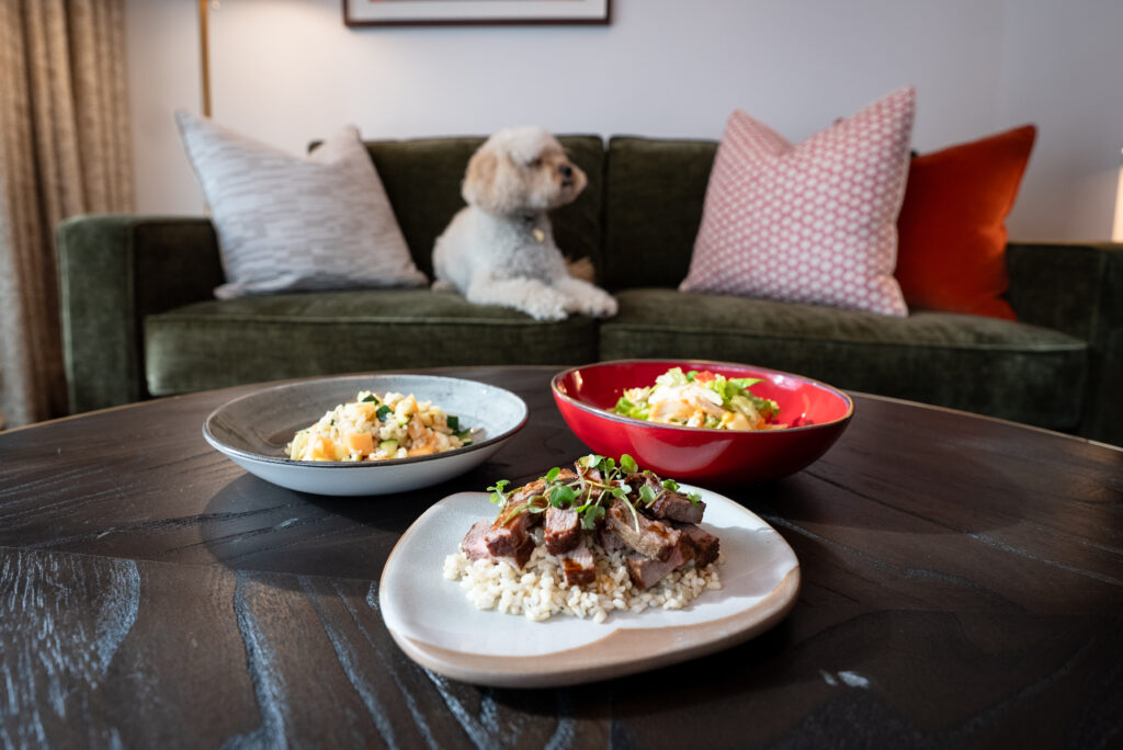 Virgin Hotel Shoreditch debuts room service for dogs