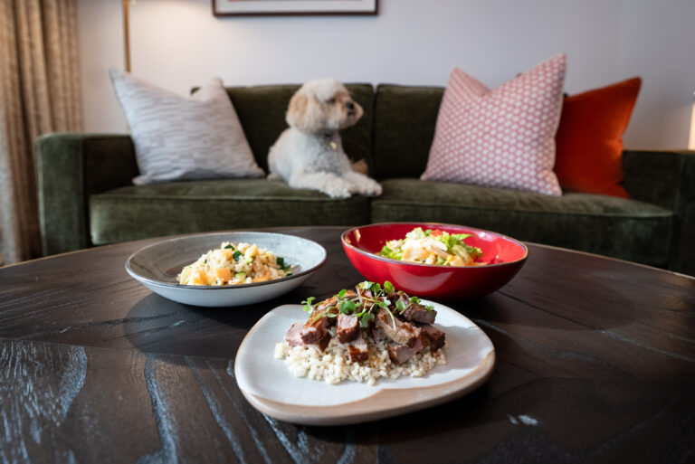 Virgin Hotel Shoreditch debuts room service for dogs