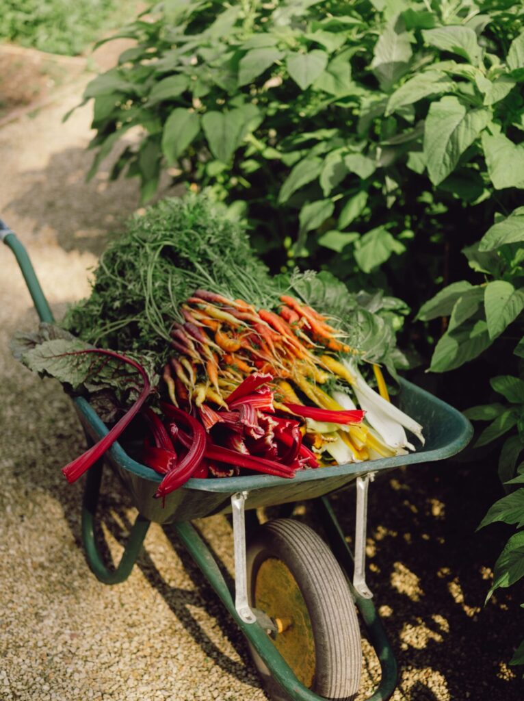 Le Manoir aux Quat'Saisons, A Belmond Hotel,