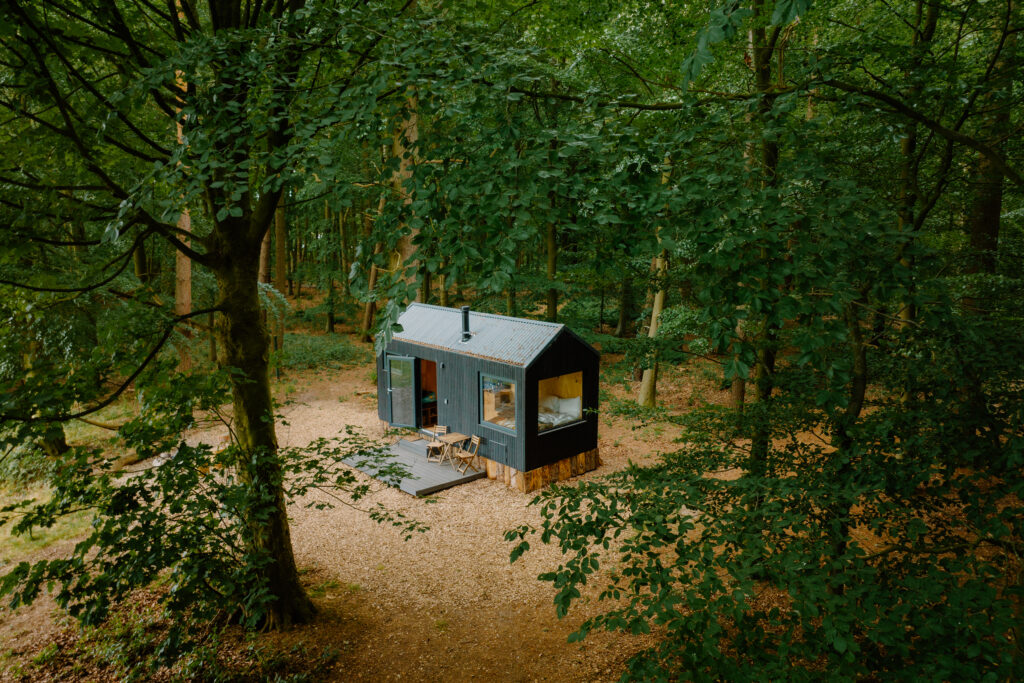 Unyoked x Forestry England