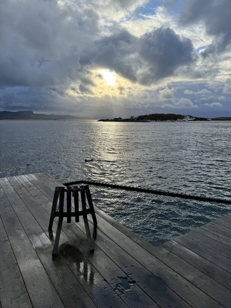 Naustet Stokkøya © Jenny Southan