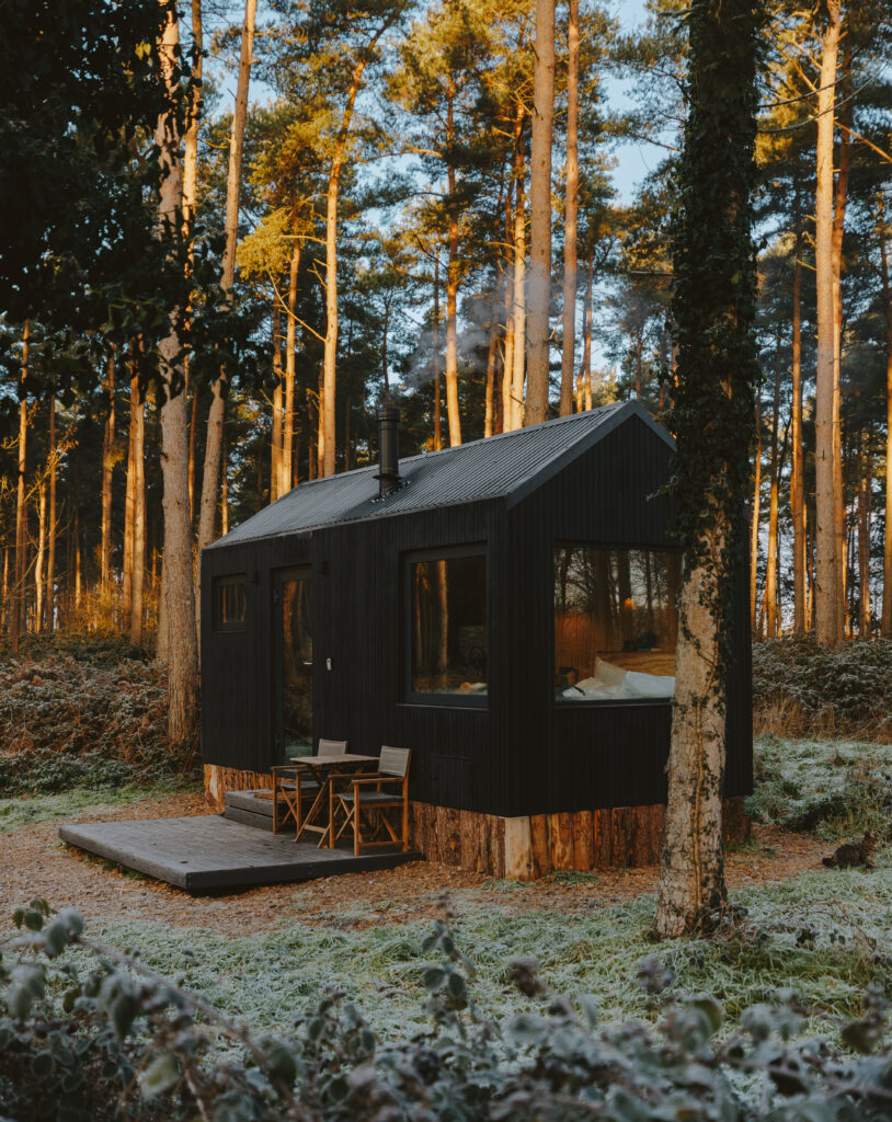 Unyoked x Forestry England