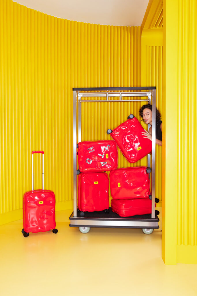 The Standard x Crash Baggage