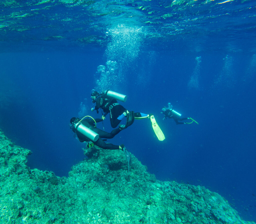 Diving, Silolona Sojourns