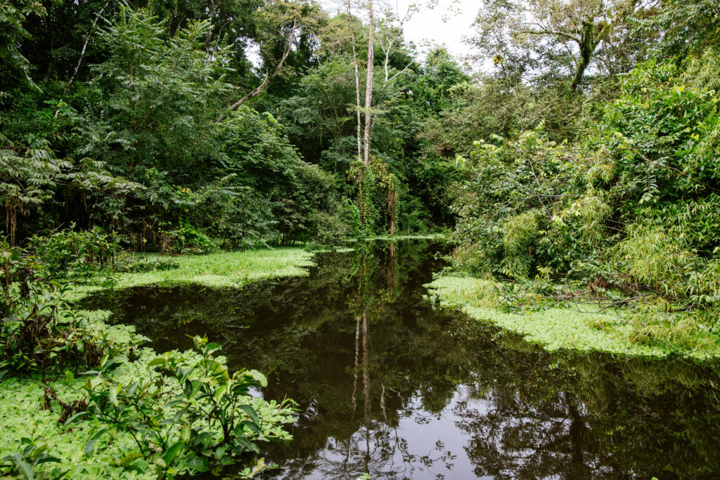 Aqua Expeditions, Peruvian Amazon
