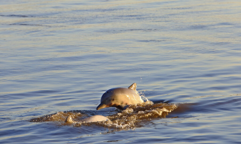 Aqua Expeditions, Peruvian Amazon