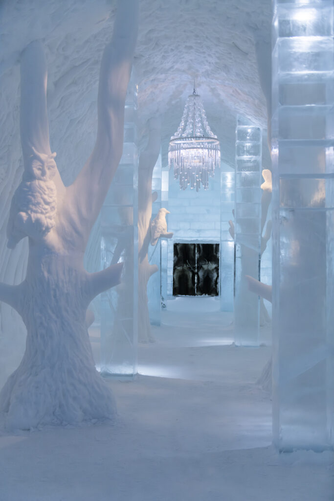 ICEHOTEL 36, Asaf Kliger