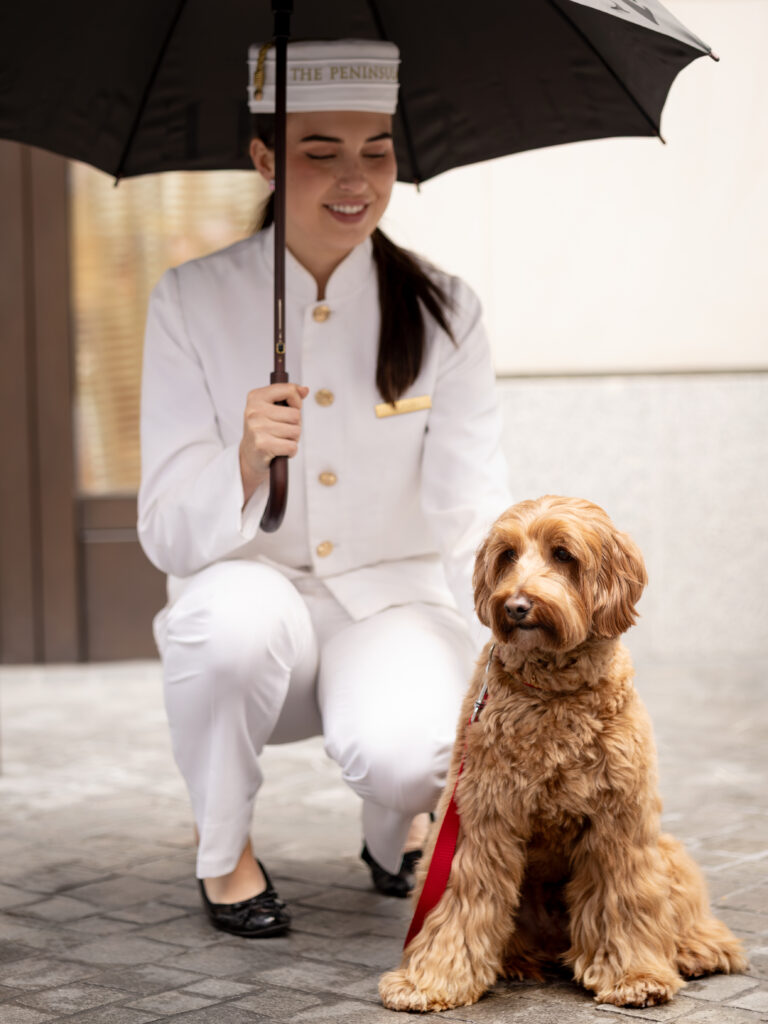 The Peninsula London; dog grooming service