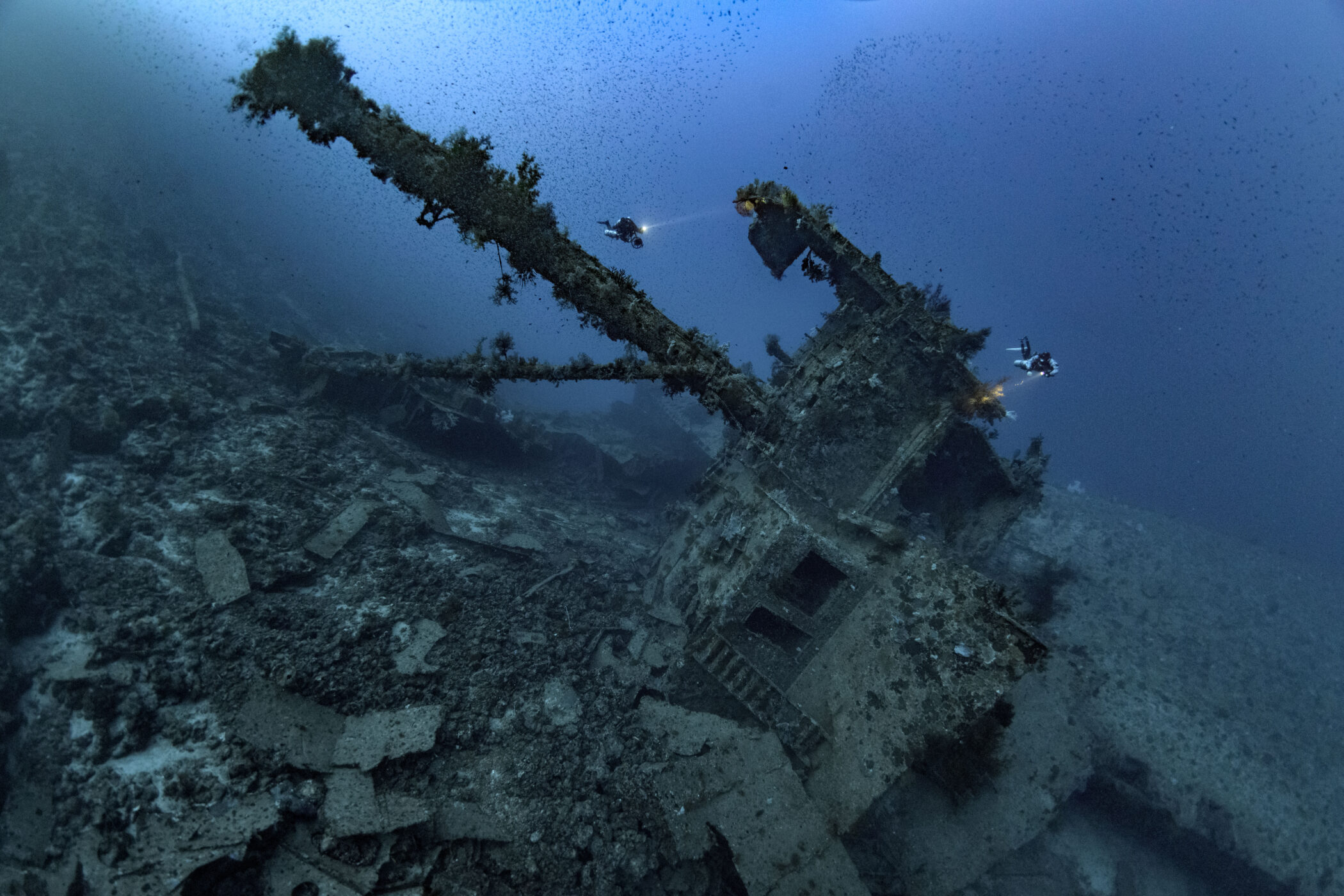Pelorus expedition shipwreck