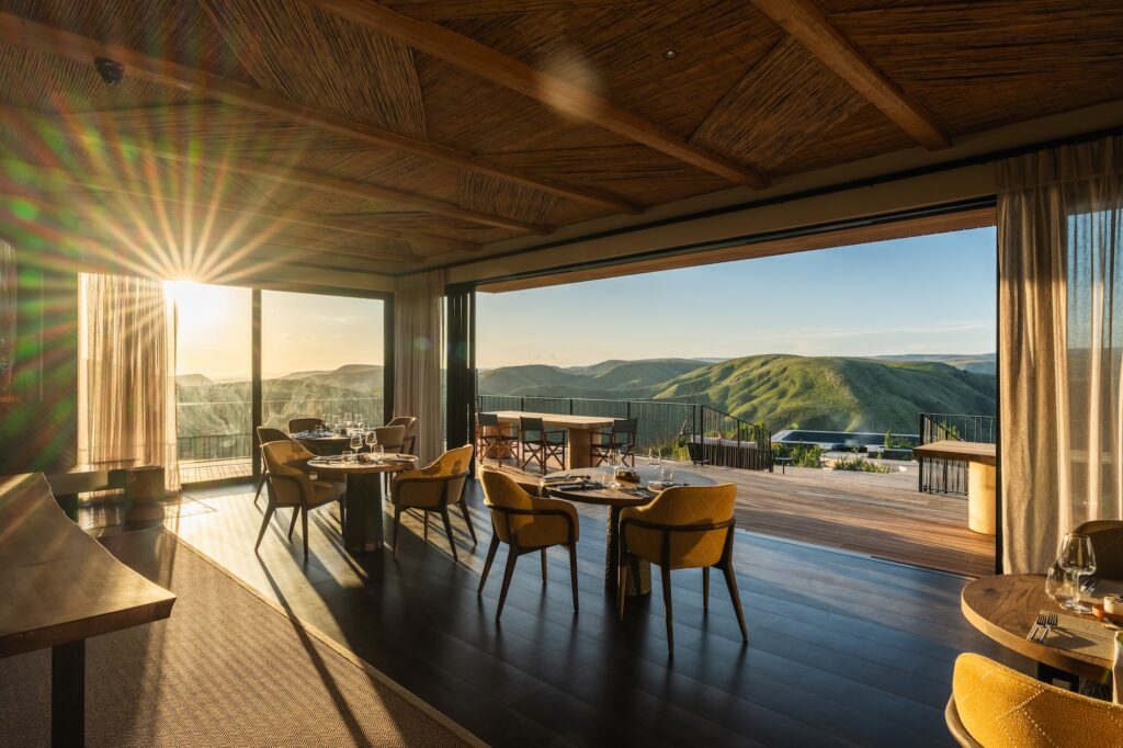 Mantis Hiddn, South Africa